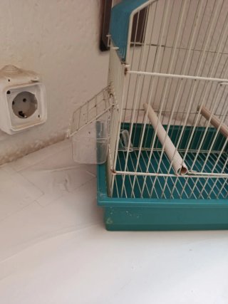 Jaula para pájaros pequeños