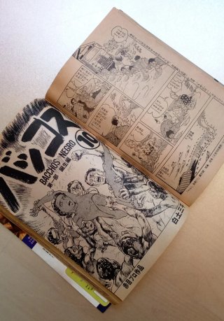 Revista japonesa