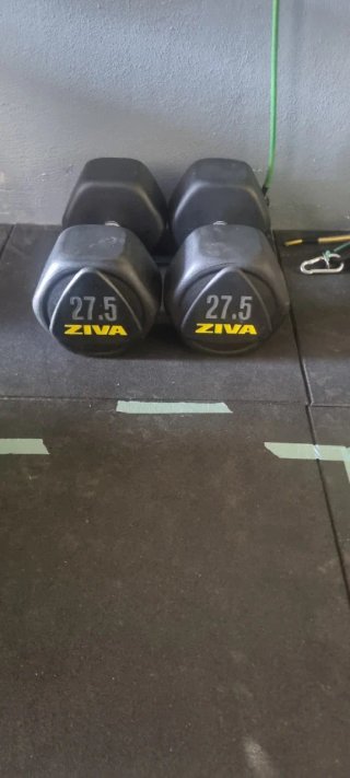 Mancuernas Ziva 27.5 kg (Par)