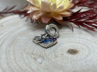Charm Wall-E & Eva
