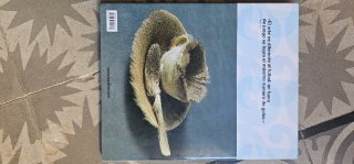 Surrealismo. Libro de arte de Taschen.