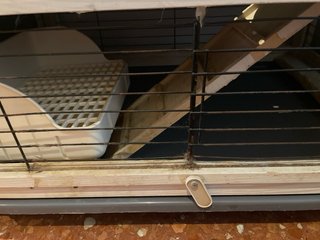 Jaula para conejo con accesorios varios