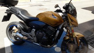 Honda CBF 600 Hornet ABS 2009 Dorada
