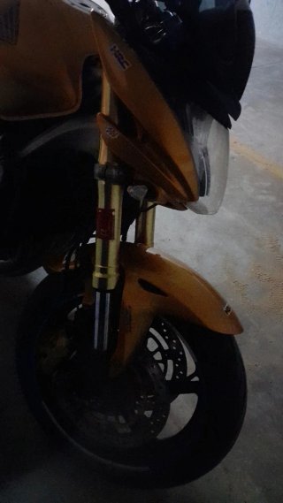 Honda CBF 600 Hornet ABS 2009 Dorada