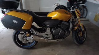 Honda CBF 600 Hornet ABS 2009 Dorada
