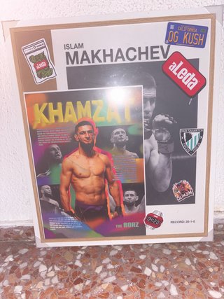 Cuadro UFC : Islam Makhachev y Khamzat Chimaev