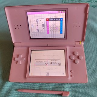 Offerta Nintendo DS Lite Rosa