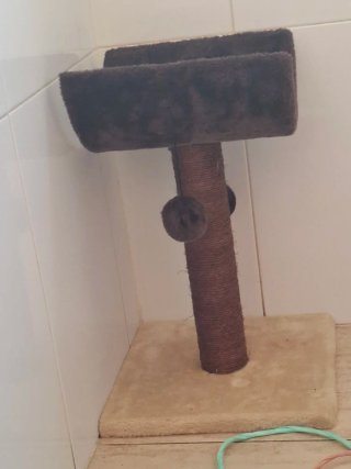 Rascador para gatos con pelotas