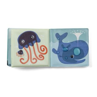Libros lilliputiens