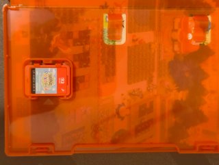 Pokemon Pokopia Switch 2