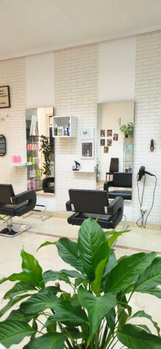 Peluquería y Asesoramiento
