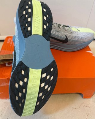Nike Pegasus Plus