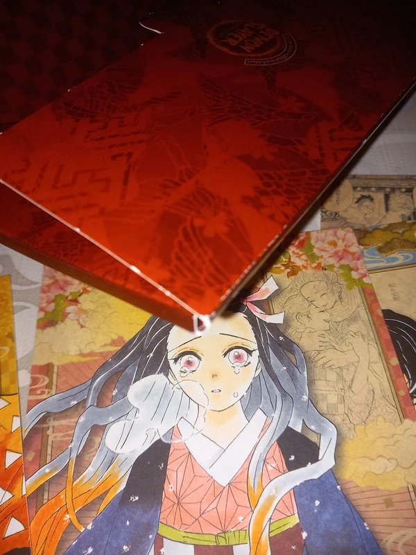Demon Slayer Kimetsu no yaiba Cartoline Postcard