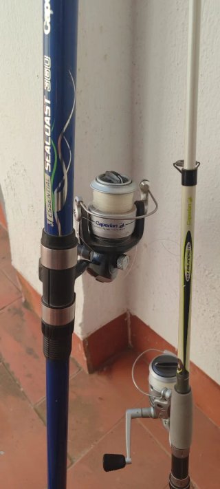 Cañas de pescar con carretes