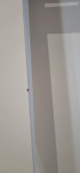 IKEA Barandilla seguridad cama infantil
