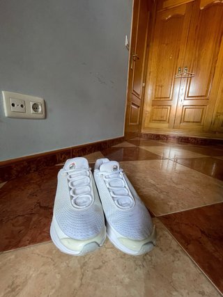 Nike Air Max DN Blancas Talla 42