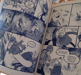 Comics y libros varios
