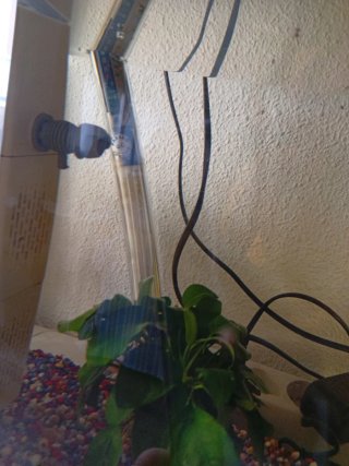 Acuario de 60 litros