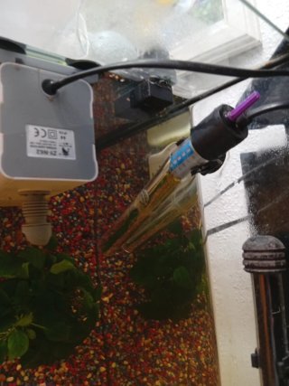 Acuario de 60 litros
