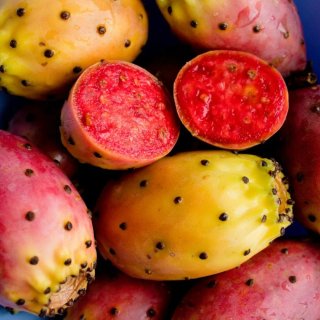 5 pale fico d'india bio siciliano