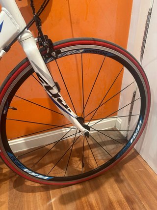 Fuji Sportif 1.3 Talla M