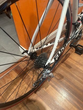 Fuji Sportif 1.3 Talla M