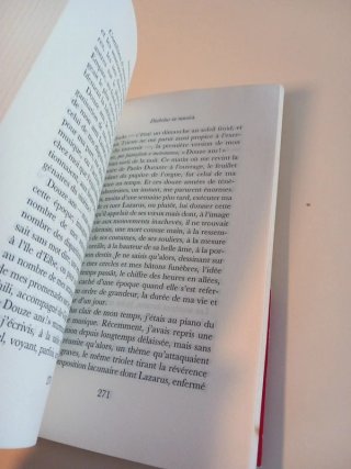 Diabolus in musica - Yann Apperry