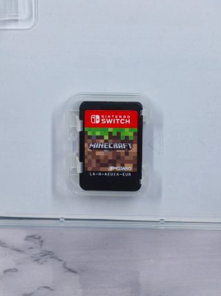 Minecraft Nintendo Switch