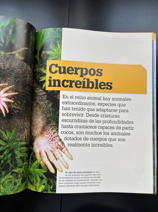 ¡Increíble pero cierto! Animales