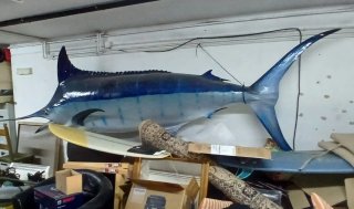 Réplica Pez Espada Blue Marlin
