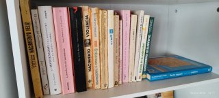 Lote Libros Maternidad y Embarazo
