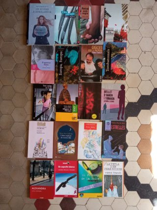 P12 llibres en valencià y catalá I