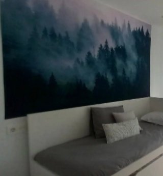 Tapiz de bosque con niebla