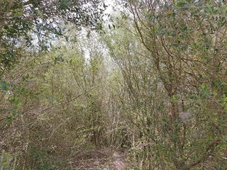 Terreno en venta en Muro en Muro