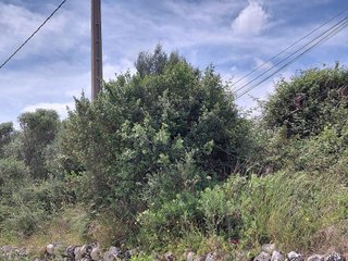 Terreno en venta en Muro en Muro
