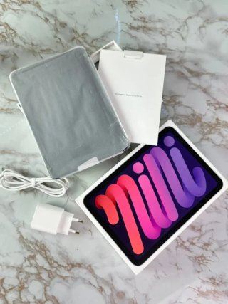 GARANTIA iPad Mini 256gb