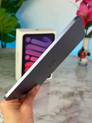 GARANTIA iPad Mini 256gb