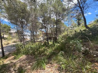 Terreno en venta en Mas Alba en Sant Pere de Ribes
