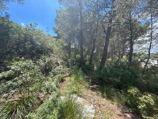 Terreno en venta en Mas Alba en Sant Pere de Ribes