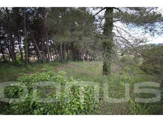 Terreno en venta en Piera
