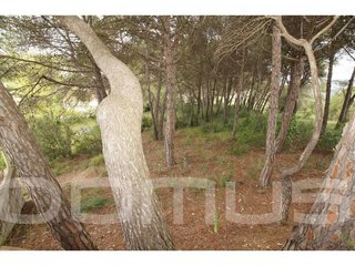 Terreno en venta en Piera
