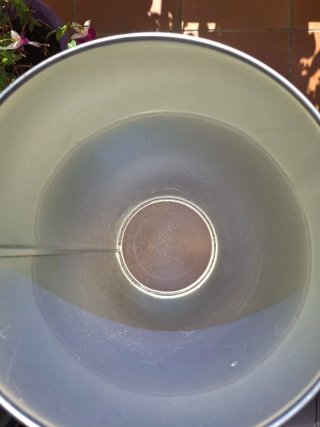 Paragüero con su platillo