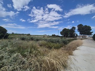 Terreno en venta en Torres de Cotillas (Las)