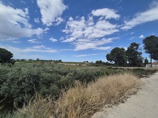 Terreno en venta en Torres de Cotillas (Las)