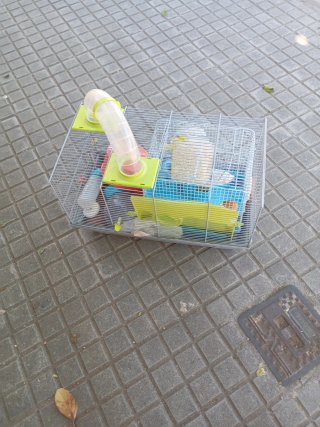 Jaula para hámster con túnel y accesorios