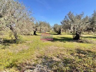 Terreno en venta en Albaida