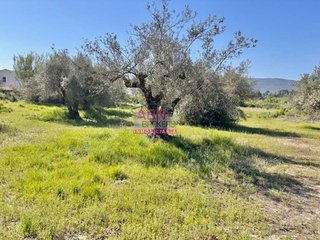 Terreno en venta en Albaida
