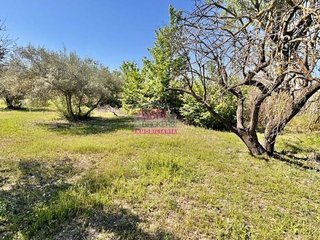Terreno en venta en Albaida