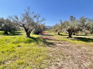 Terreno en venta en Albaida