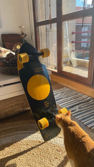 Surf Skate Hydroponic Poco Usado